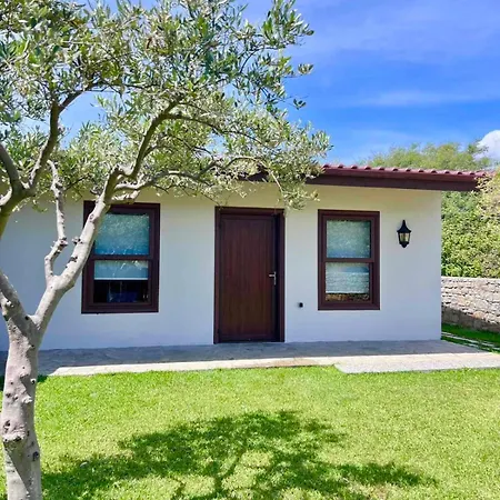 Olive Yard Торони