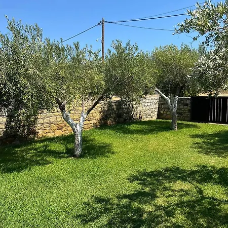Olive Yard