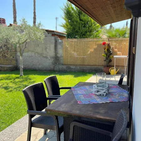 Olive Yard * Toroni