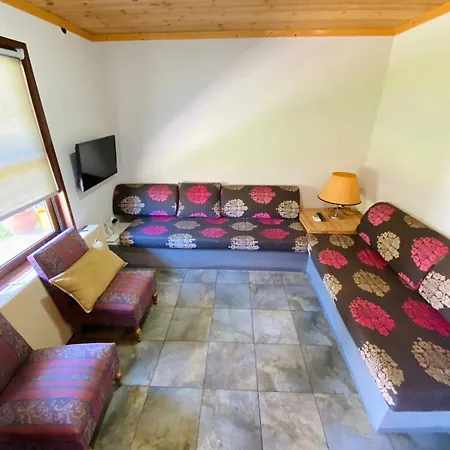 Tatil Evi Olive Yard *