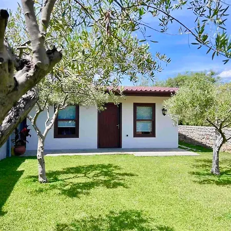 Tatil Evi Olive Yard