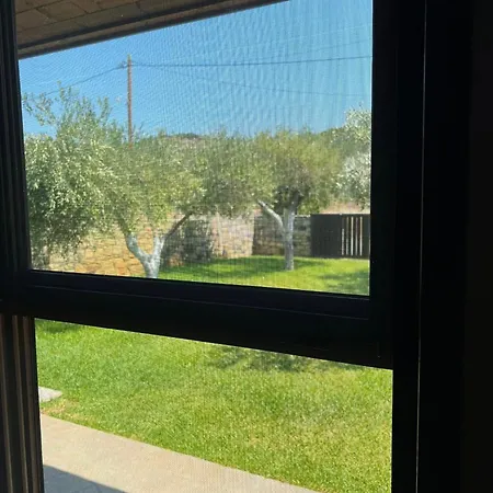 Olive Yard