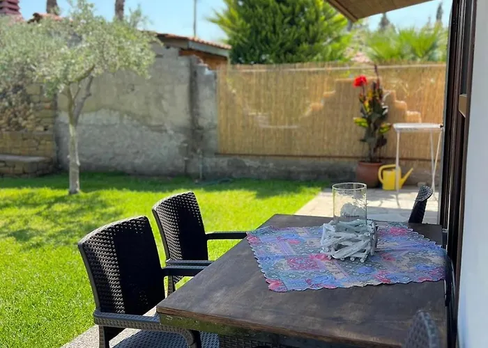 Olive Yard * Toroni