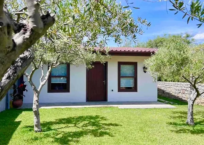 Casa vacanze Olive Yard