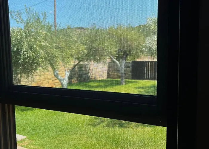 Olive Yard