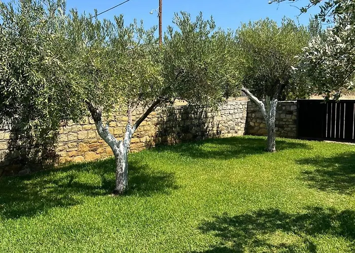 Olive Yard